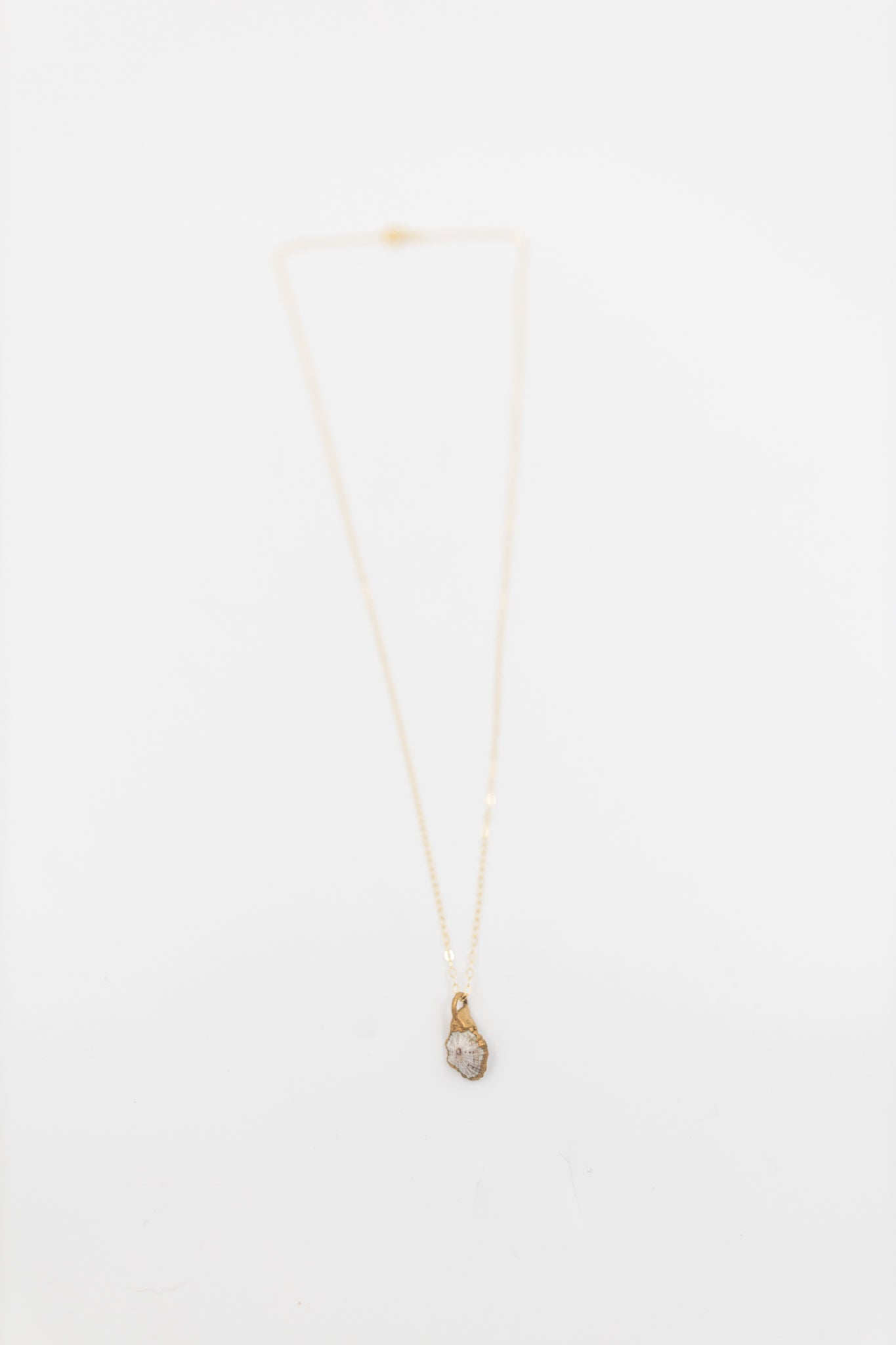 24kt Gold Dipped ʻOpihi Shell Necklace