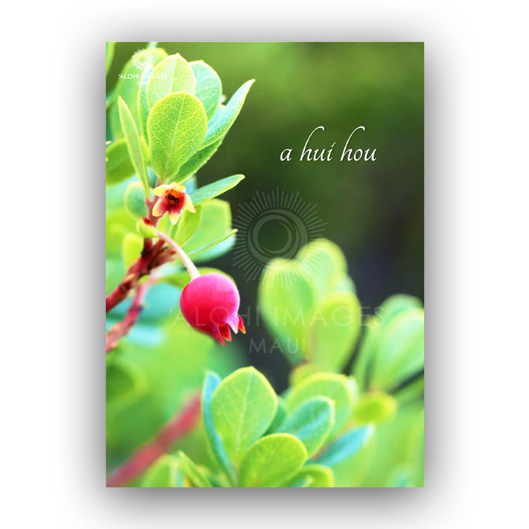 Pop-Up Mākeke - Alohi Images Maui - “A hui hou” (Until We Meet Again) Blank Greeting Card