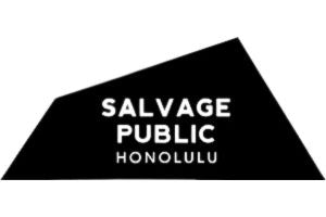 Salvage Public