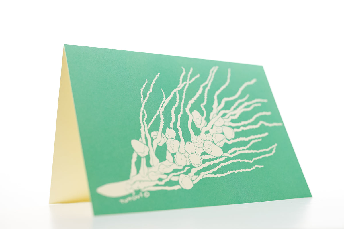 Tutuvi Coconut Note Card 5" x 7"