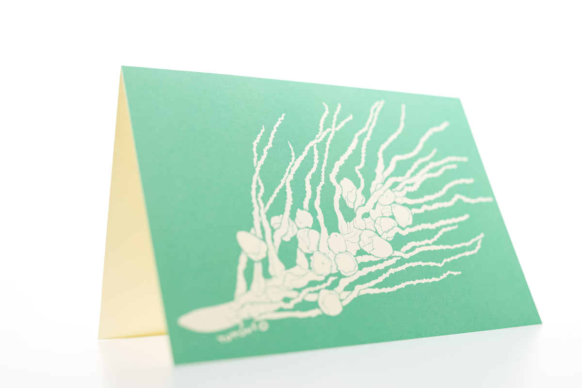 Tutuvi Coconut Note Card 5" x 7"