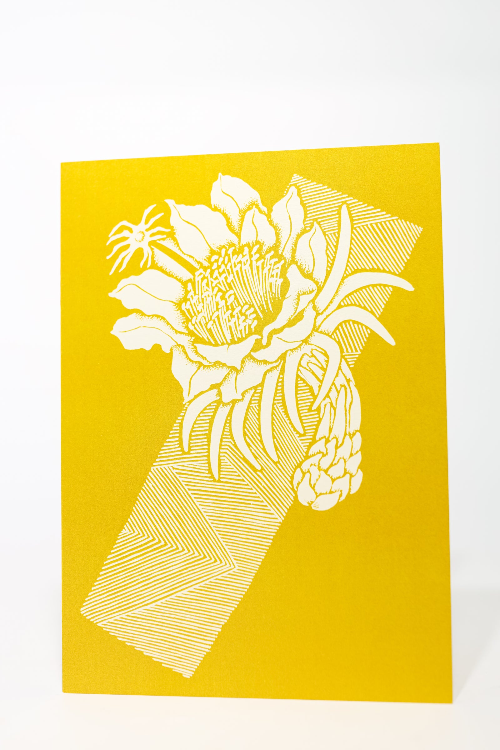 Tutuvi Night Blooming Cereus Note Card 5" x 7"