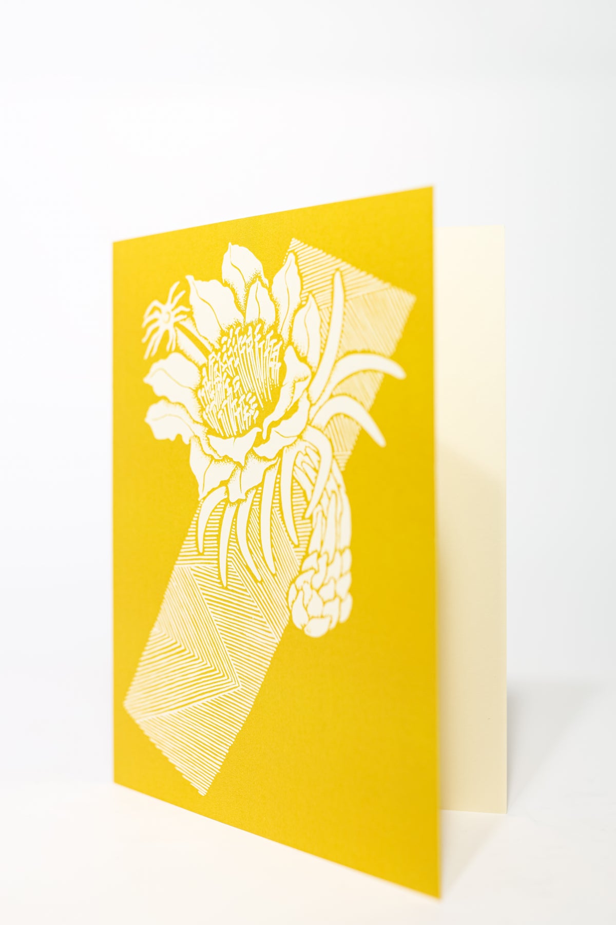 Tutuvi Night Blooming Cereus Note Card 5" x 7"