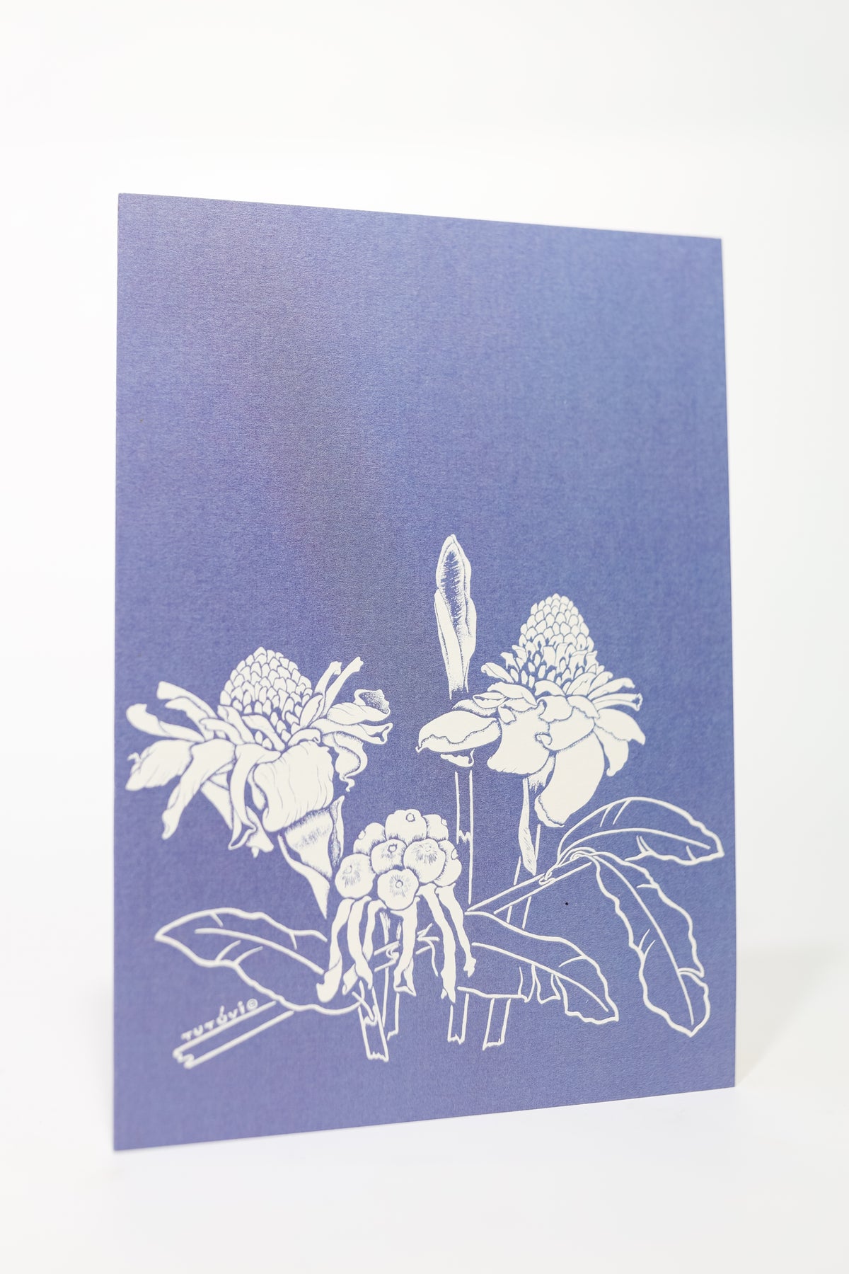 Tutuvi Torch Ginger Note Card 5" x 7"