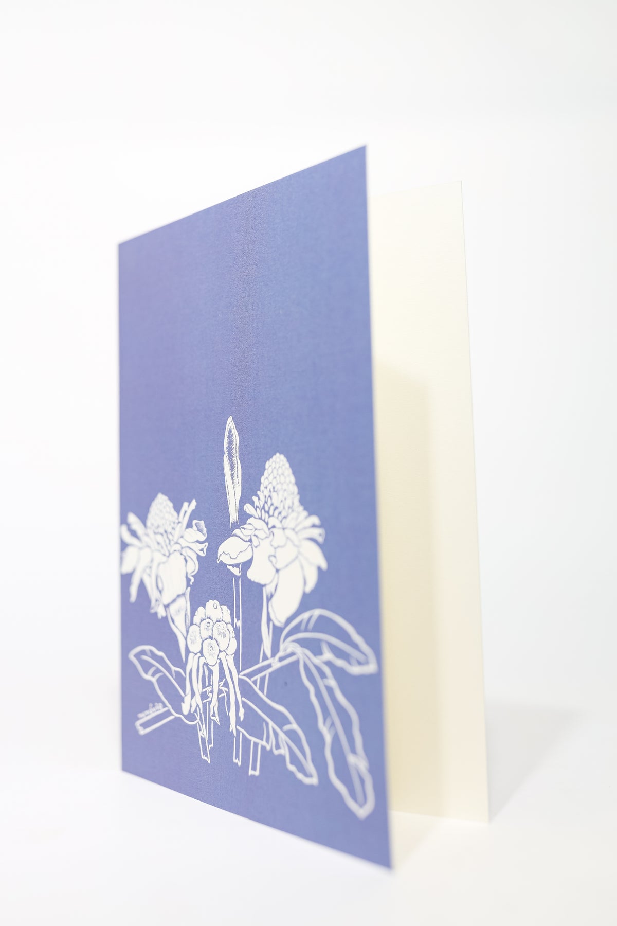 Tutuvi Torch Ginger Note Card 5" x 7"