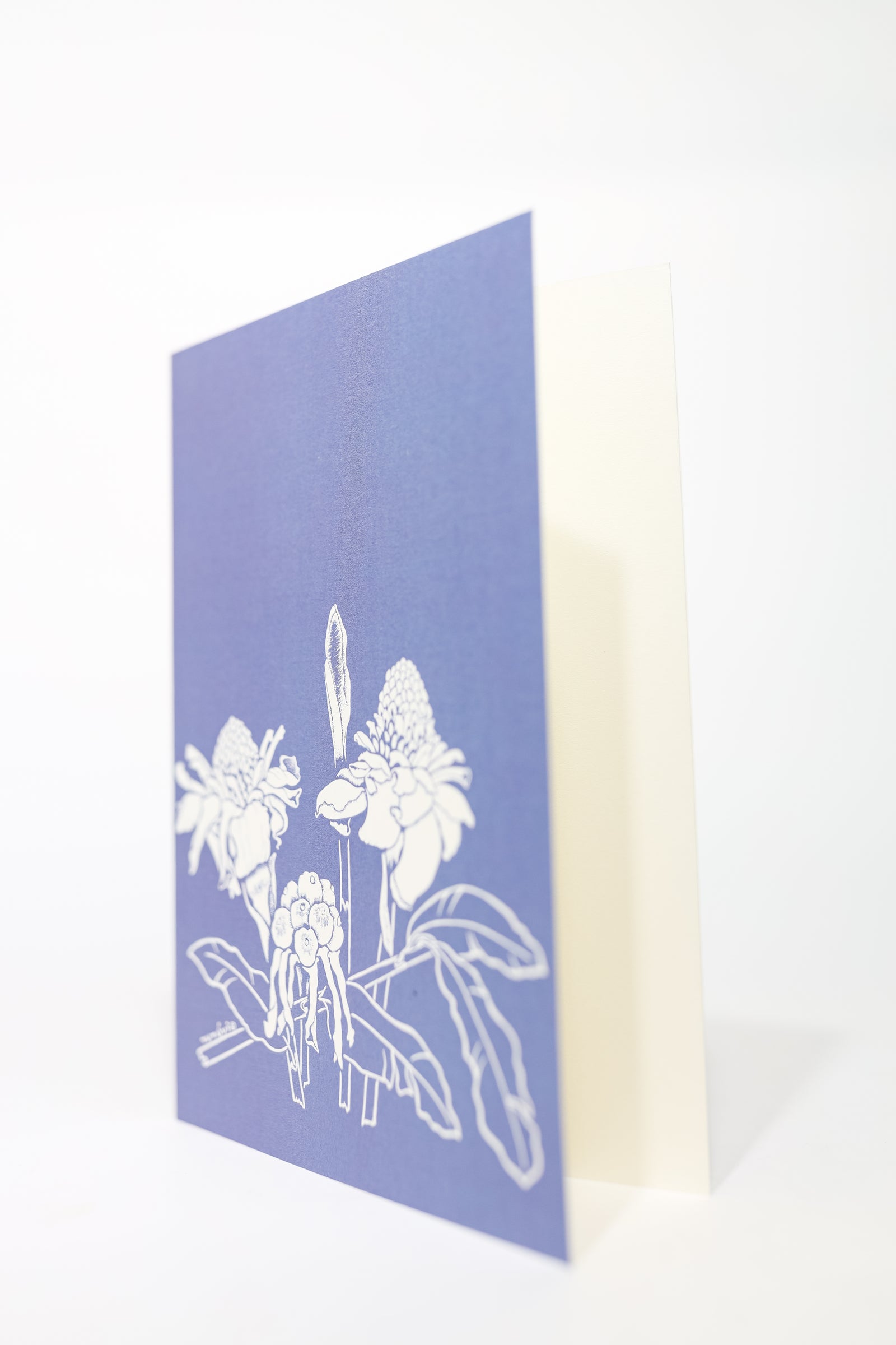 Tutuvi Torch Ginger Note Card 5" x 7"