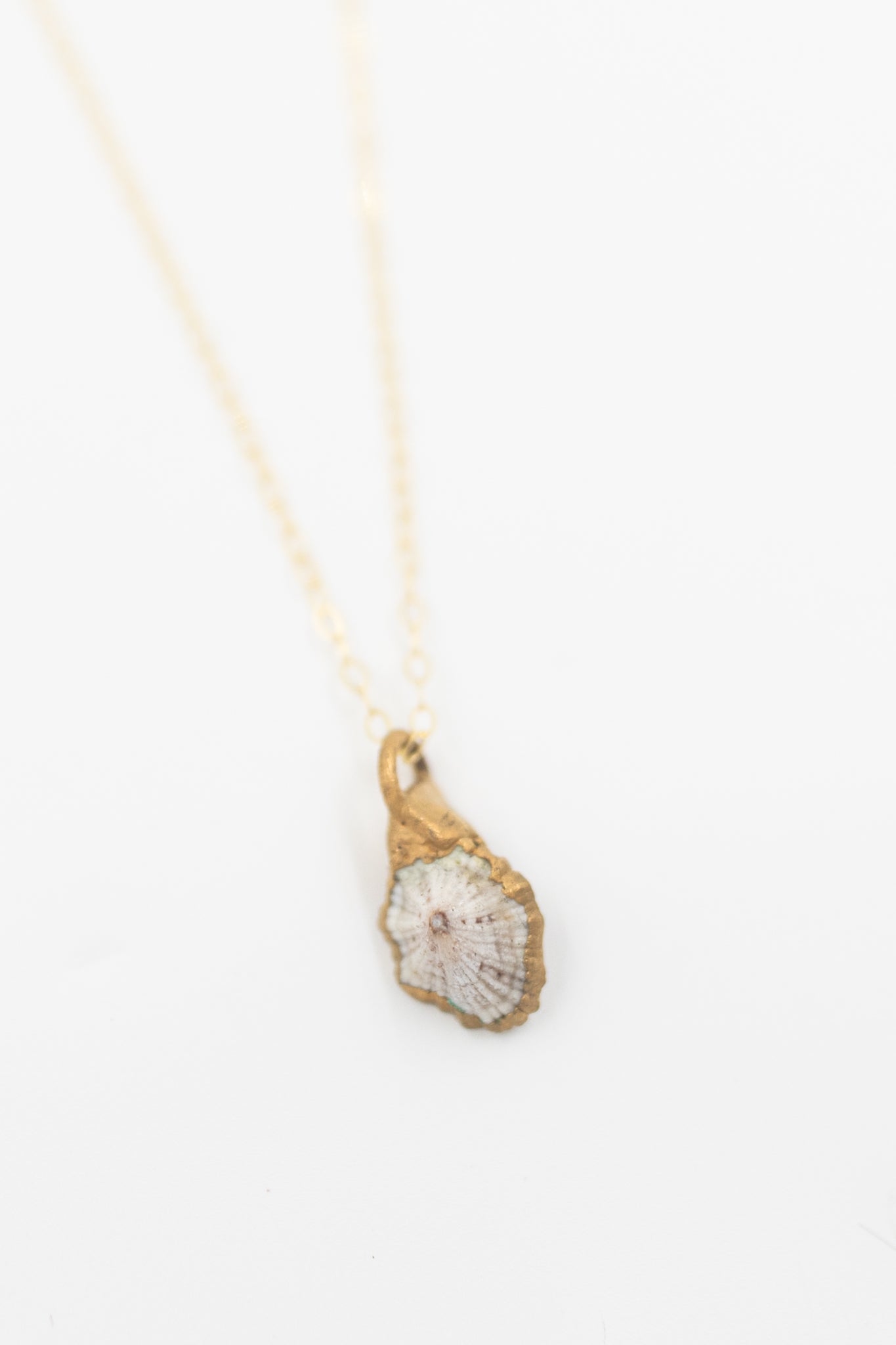 24kt Gold Dipped ʻOpihi Shell Necklace