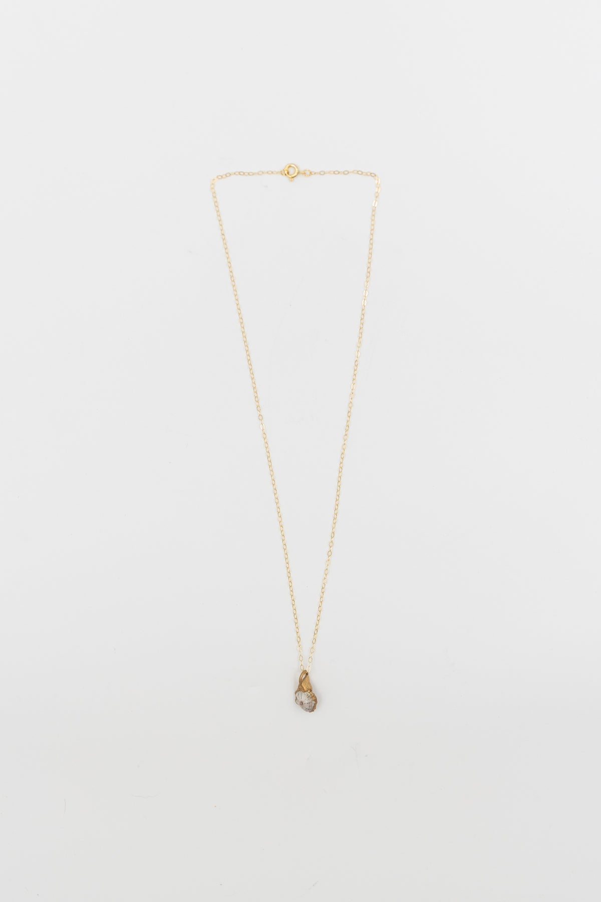 24kt Gold Dipped ʻOpihi Shell Necklace