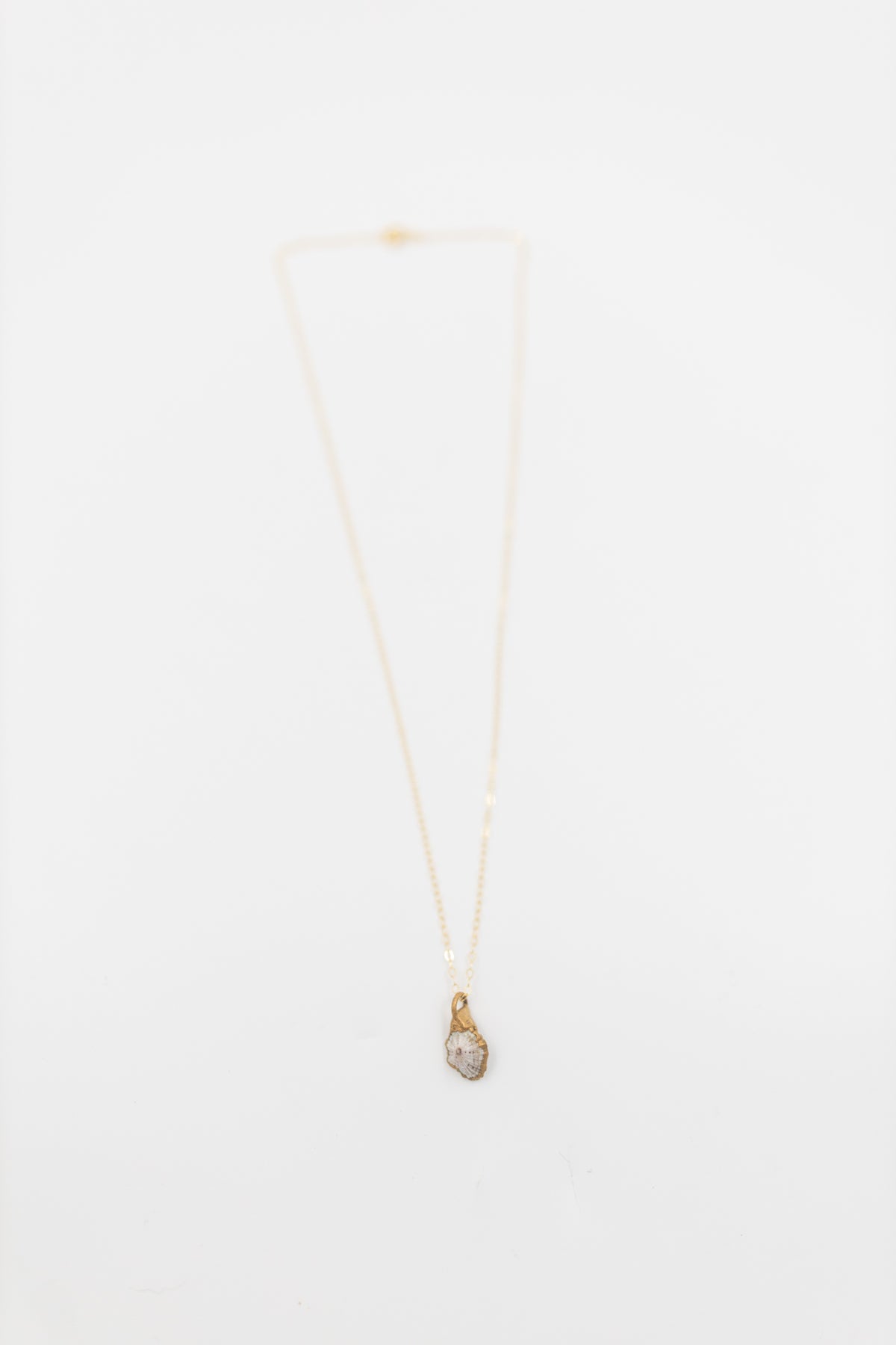 24kt Gold Dipped ʻOpihi Shell Necklace
