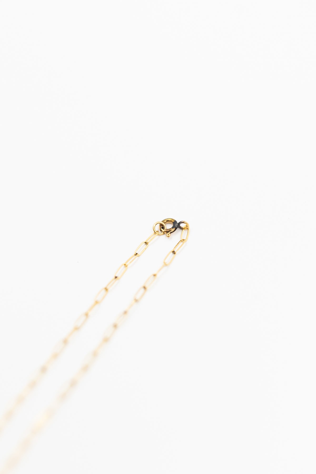24kt Gold Dipped Cowry Shell Necklace