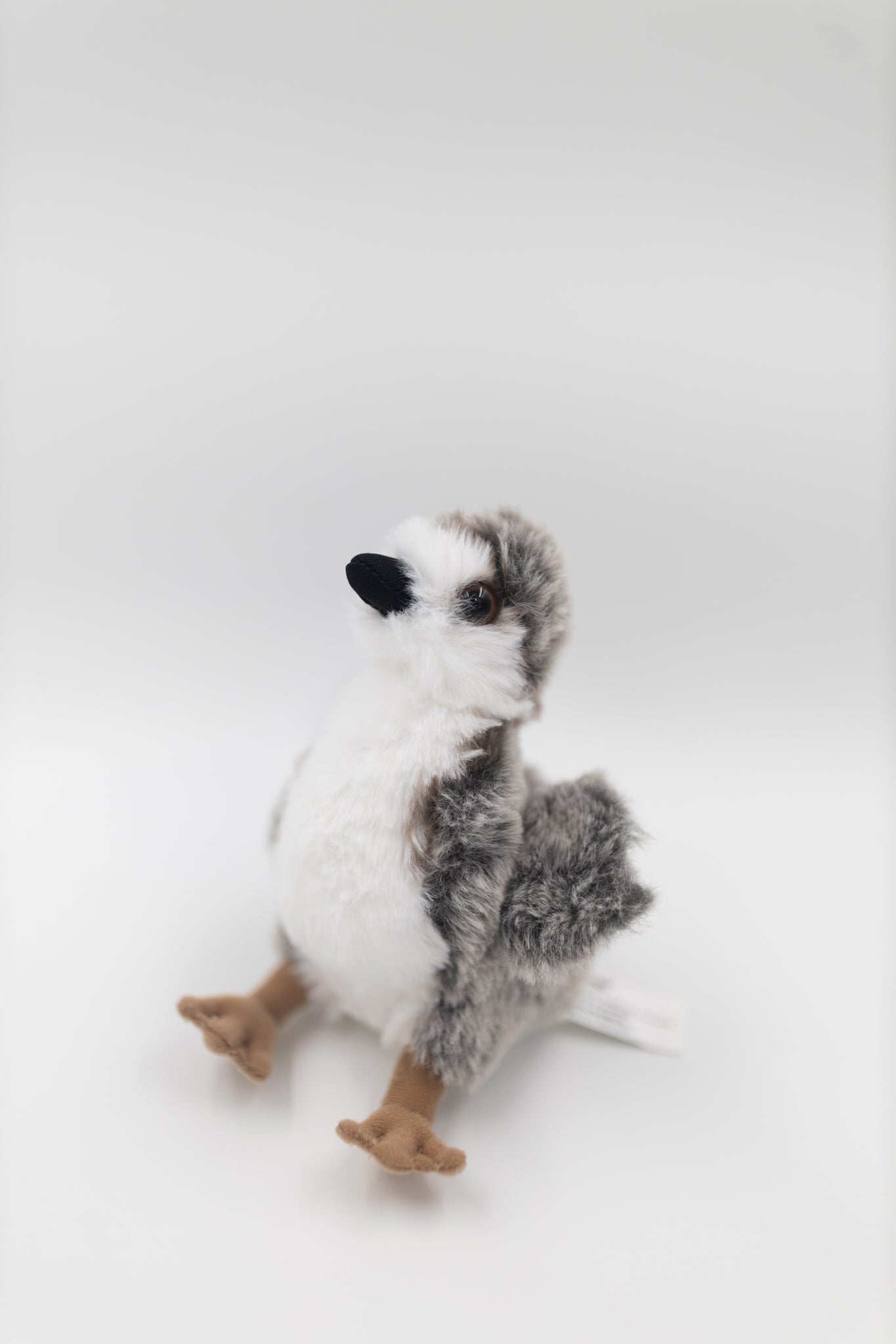 Makamae the Nēnē Gosling Plush
