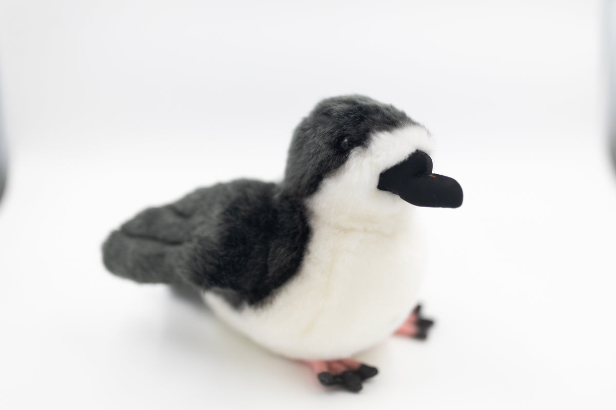 Kahoʻokele the ʻUaʻu (Hawaiian Petrel) Plush