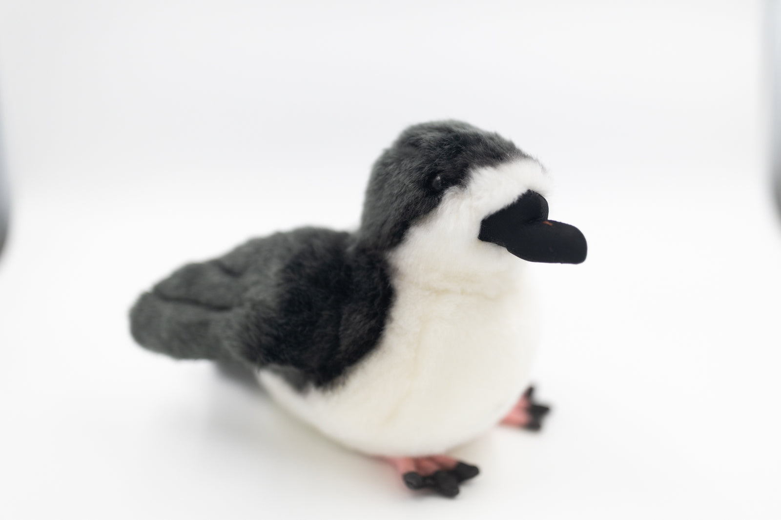 Kahoʻokele the ʻUaʻu (Hawaiian Petrel) Plush