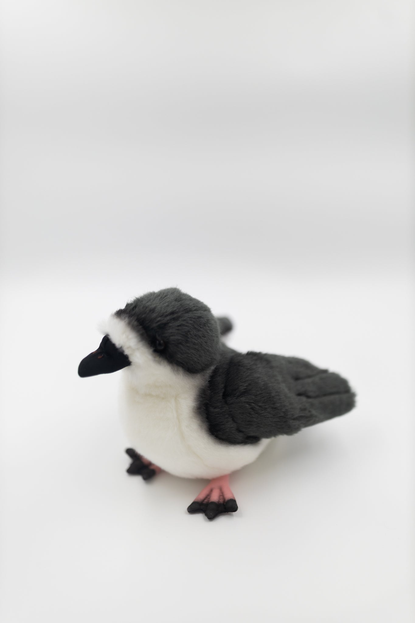 Kahoʻokele the ʻUaʻu (Hawaiian Petrel) Plush