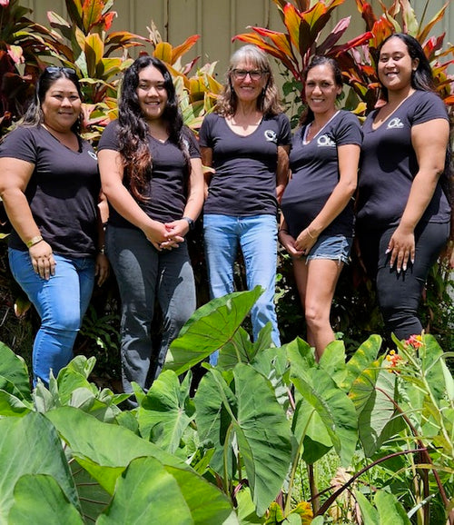 Hawaiian Body Products LLC