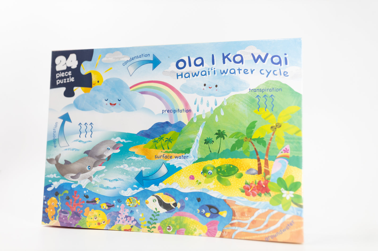 Hawai'i Water Cycle Puzzle