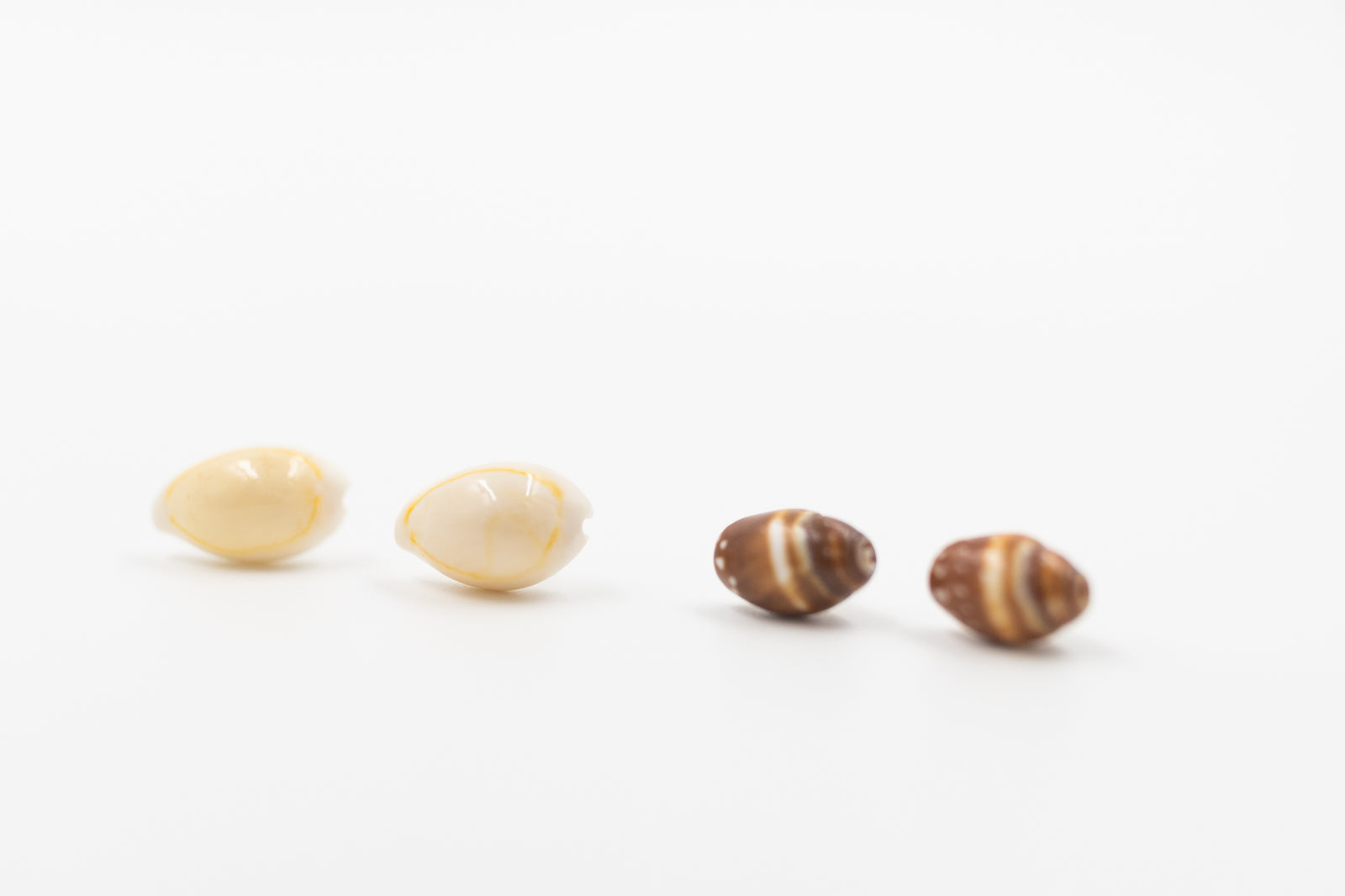 Pair of Assorted Shell Earrings - Style #PE92
