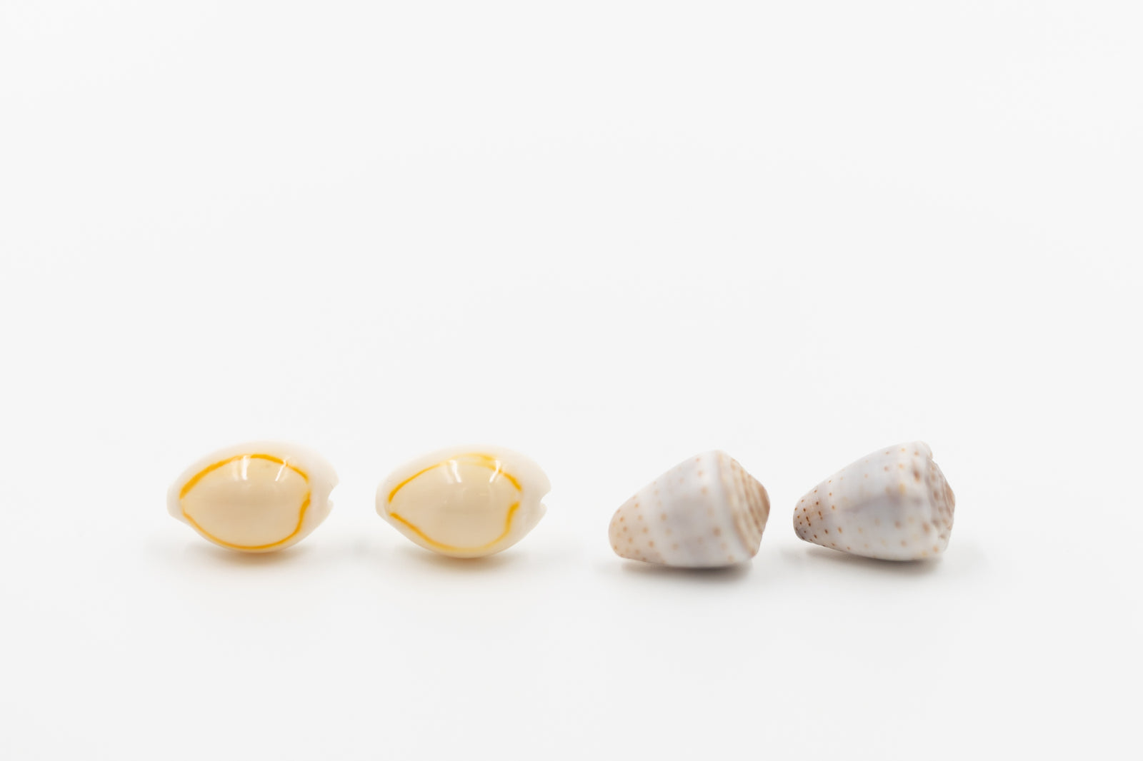 Pair of Assorted Shell Earrings
