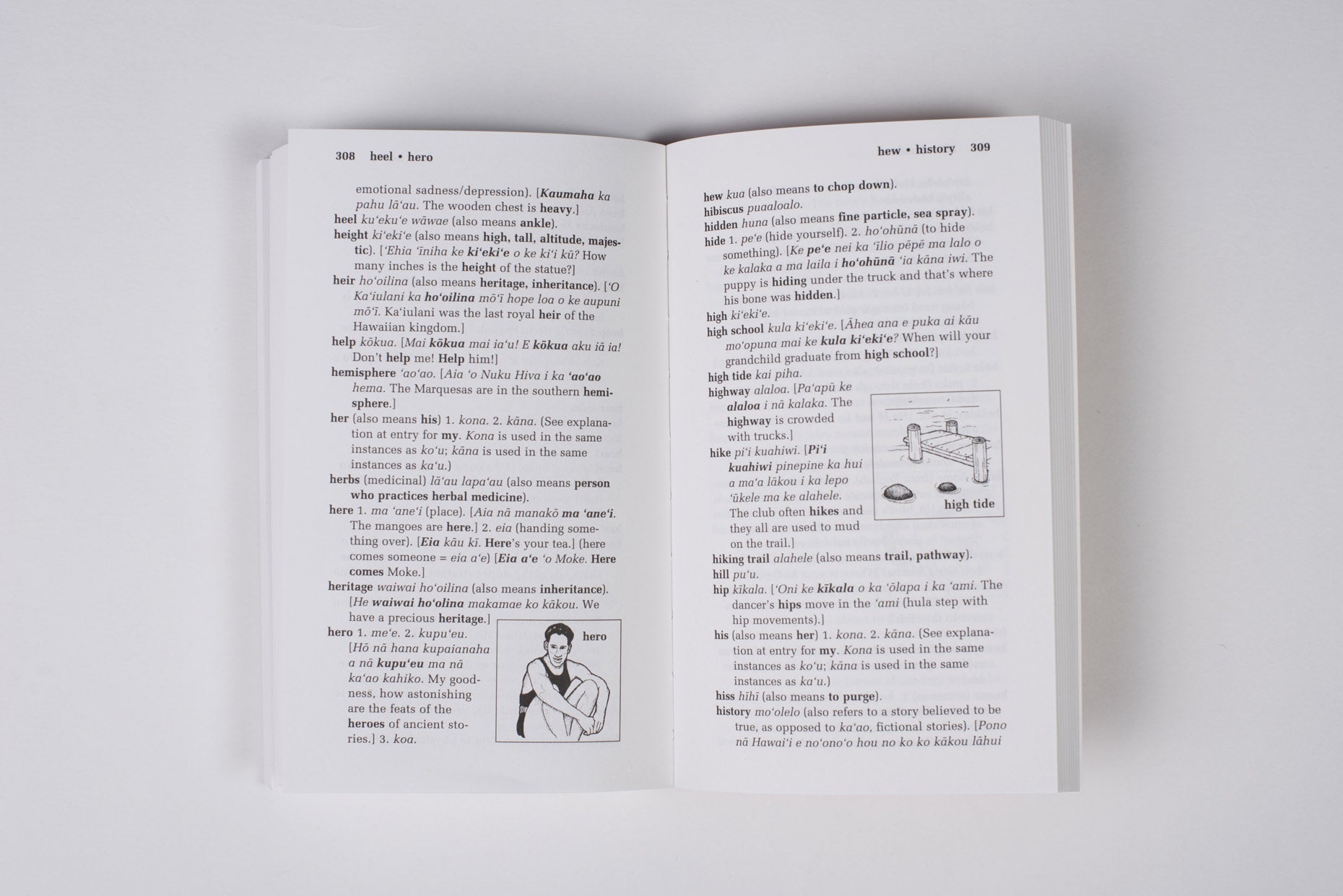 Pop-Up Mākeke - Bess Press - Illustrated Hawaiian Dictionary - Inside