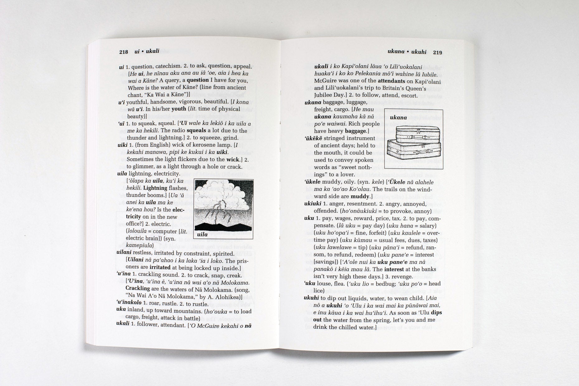 Pop-Up Mākeke - Bess Press - Illustrated Hawaiian Dictionary - Inside