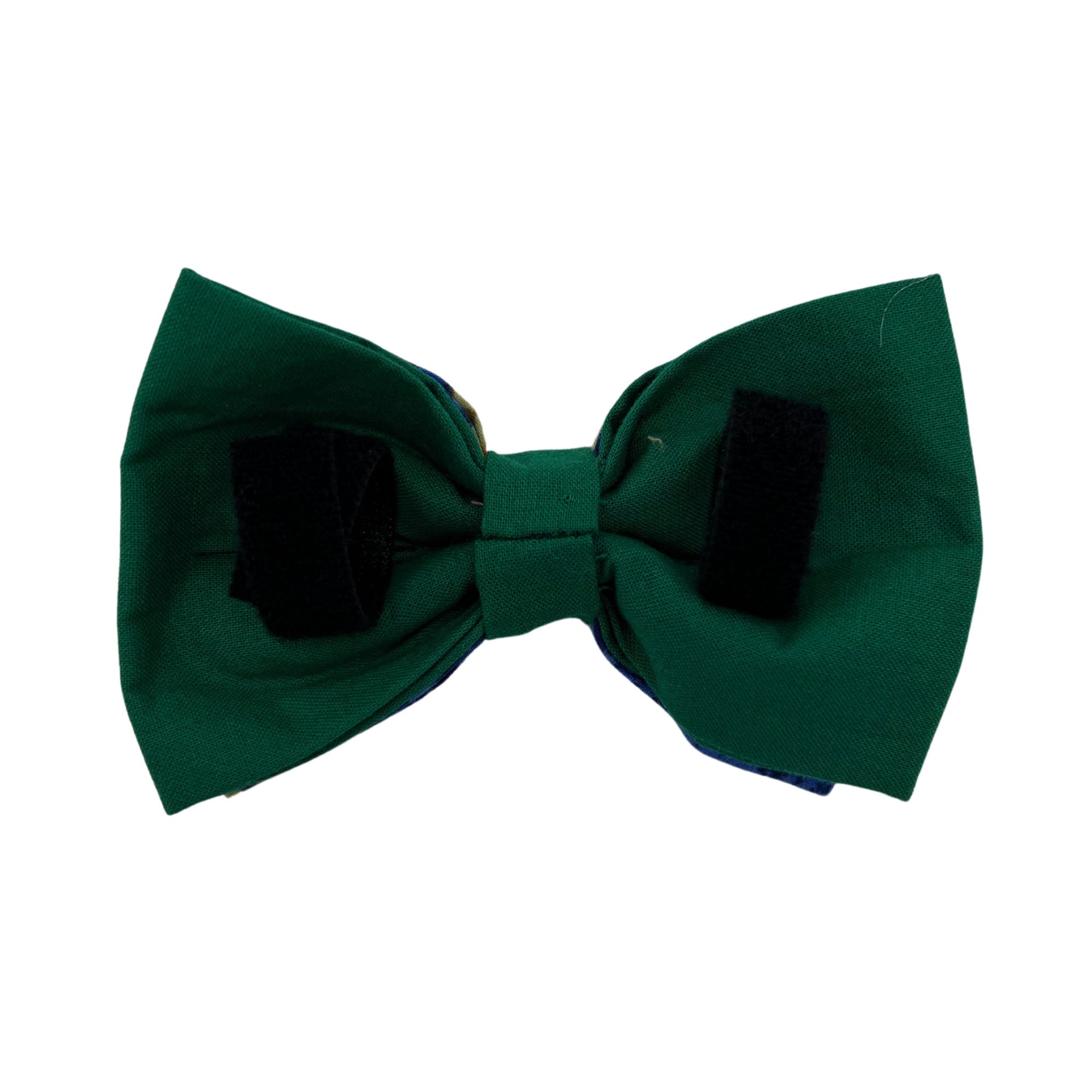 Pop-Up Mākeke - humBOWbarks Pet Wear - Medium Double Bow Tie - Honu - Back View