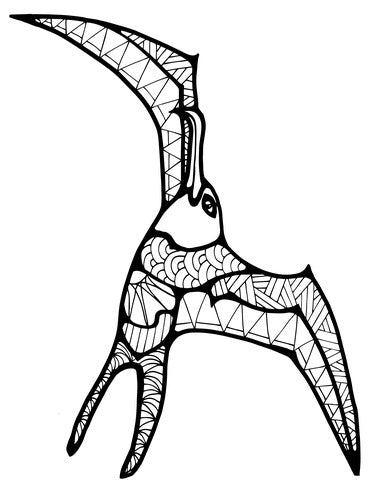 Pop-Up Mākeke - Advance Wildlife Education - Seabirds of the South Pacific Wildlife Coloring Book - Coloring Page