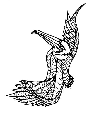 Pop-Up Mākeke - Advance Wildlife Education - Seabirds of the South Pacific Wildlife Coloring Book - Coloring Page