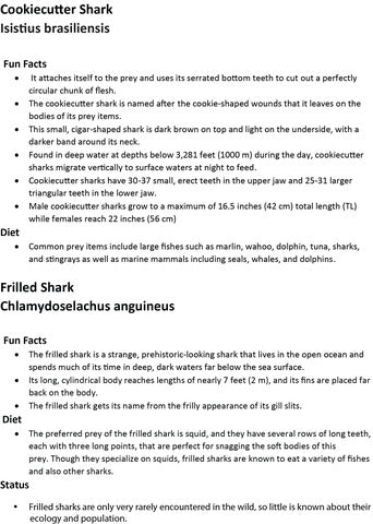 Pop-Up Mākeke - Advance Wildlife Education - Sharks and Rays Wildlife Educational Coloring Book - Fun Facts