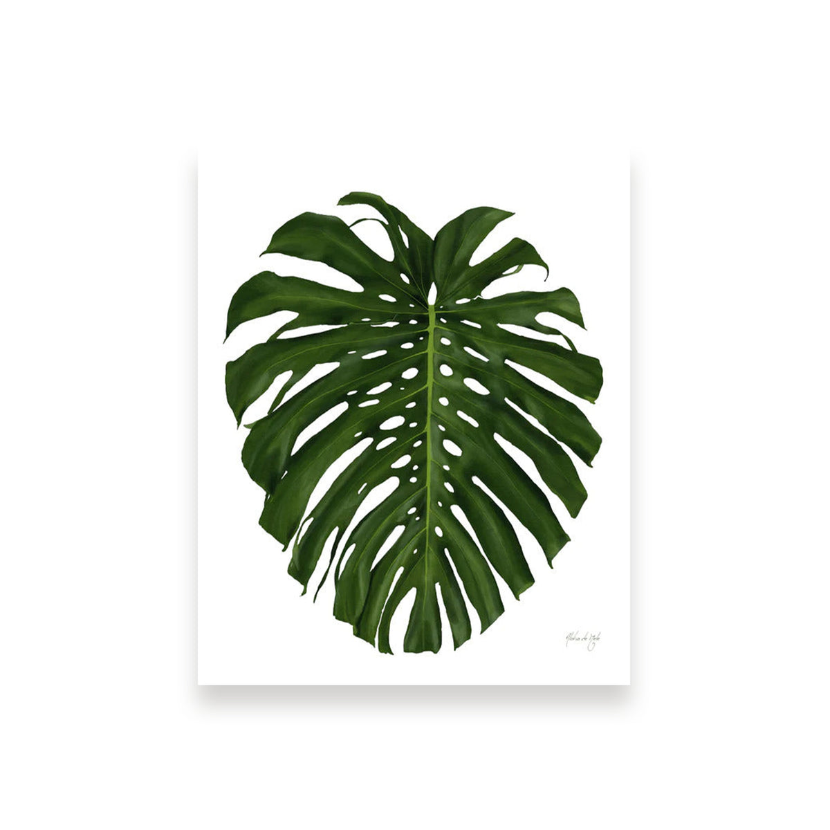 Pop-Up Mākeke - Aloha de Mele - Monstera - 5x7 Art Print in 8x10 Mat