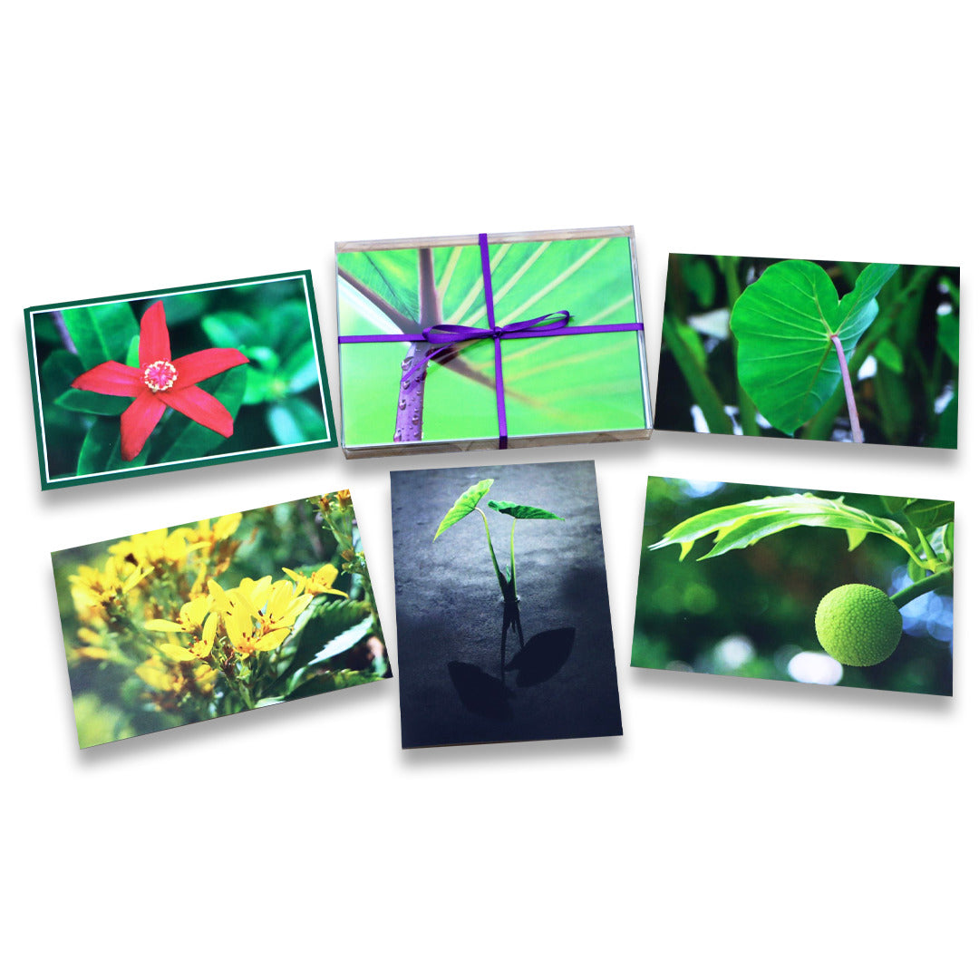 Pop-Up Mākeke - Alohi Images Maui - Kalo Variety Blank Notecards Set