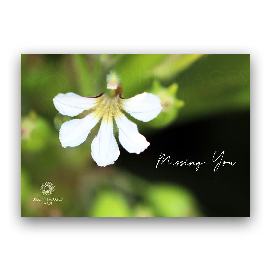 Pop-Up Mākeke - Alohi Images Maui - Naupaka Kahakai - Missing You Blank Greeting Card