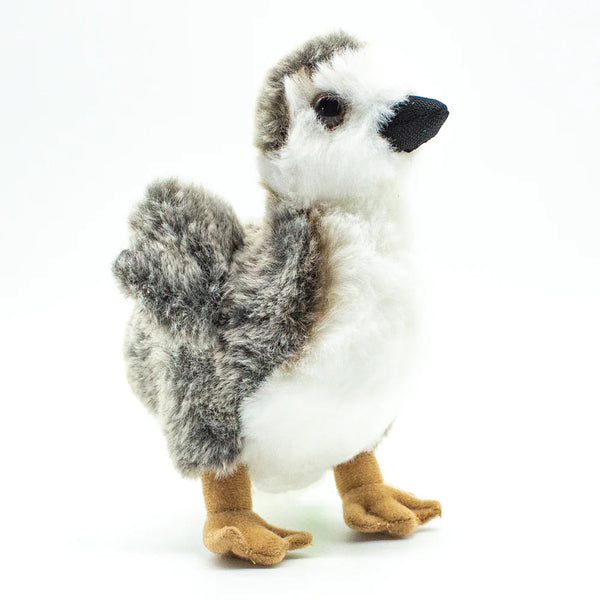 Makamae the Nēnē Gosling Plush | Pop-Up Mākeke - The Mākeke