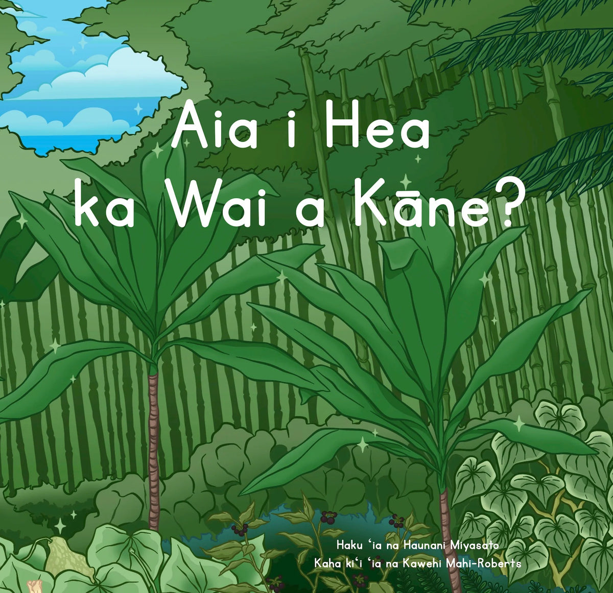 Aia i Hea ka Wai a Kāne? - Hawaiian Language Board Book
