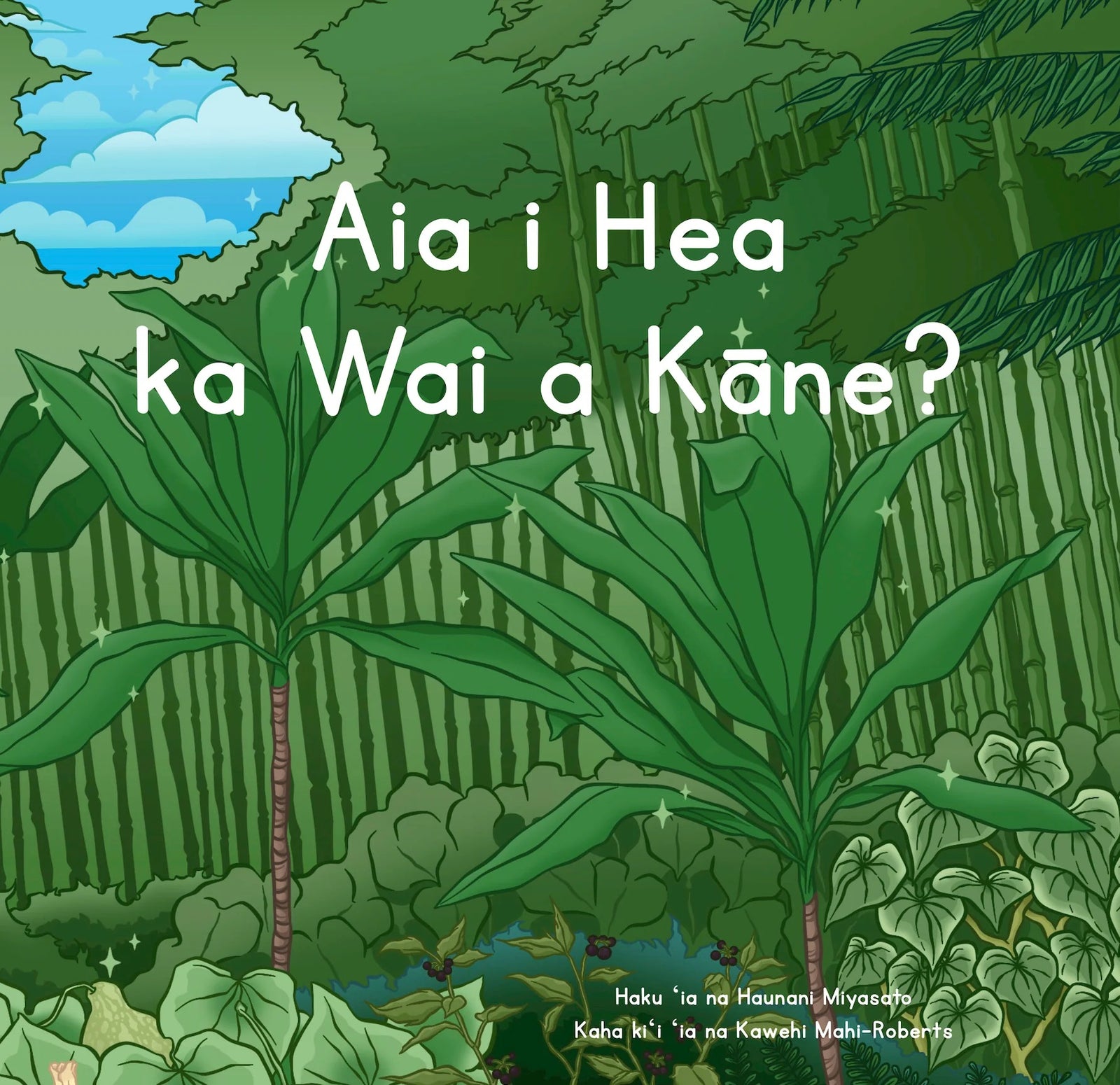 Aia i Hea ka Wai a Kāne? - Hawaiian Language Board Book