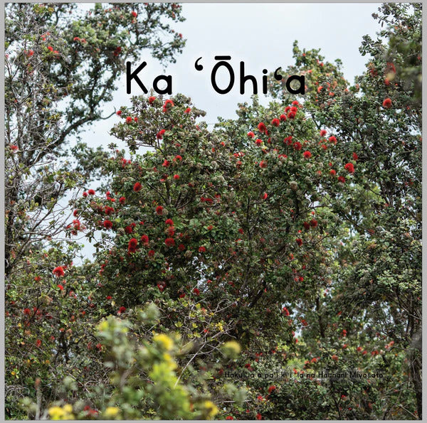 Ka ʻŌhiʻa - Hawaiian Language Board Book