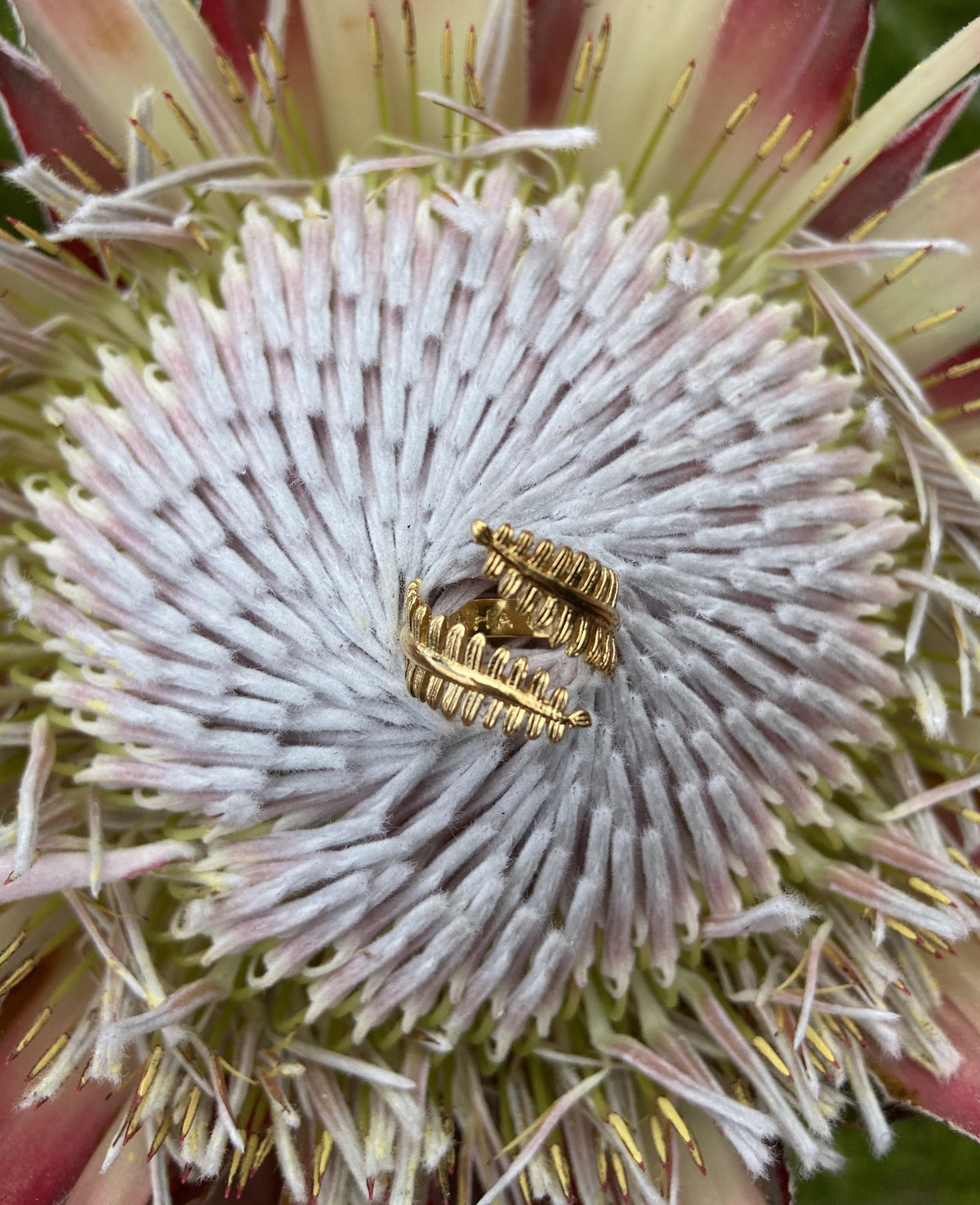 Pop-Up Mākeke - Laha&#39;ole Designs - Kupukupu 14k Vermeil Ring