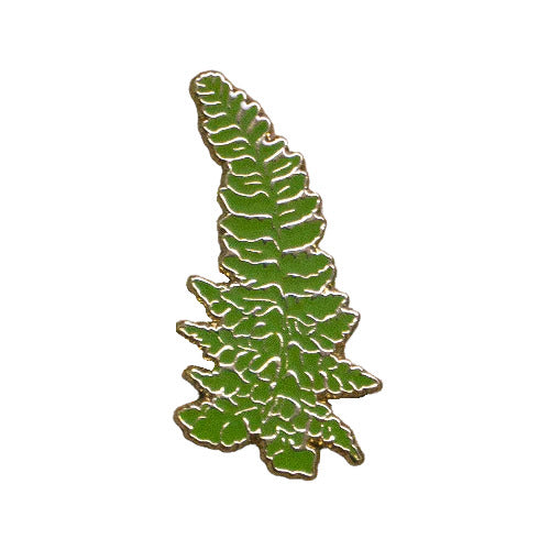 Pop-Up Mākeke - Laulima Hawai'i - Enamel Pin - Palapalai - Front View