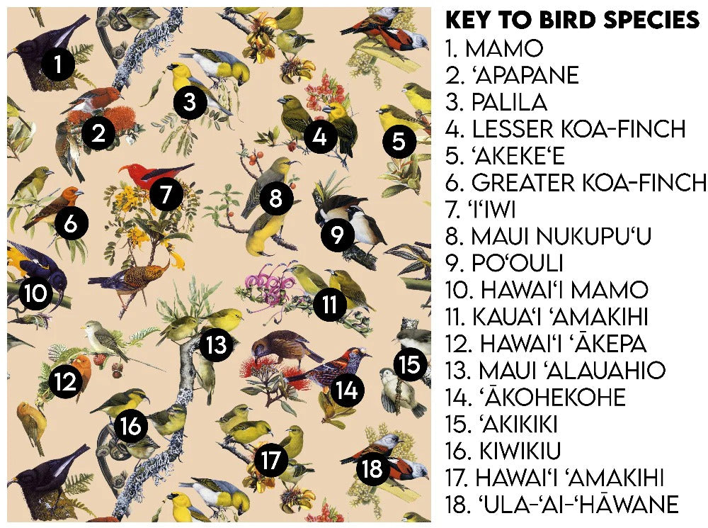Pop-Up Mākeke - Laulima Hawai'i - Hawaiian Honeycreeper Blank Journal - Sky Blue - Bird Information