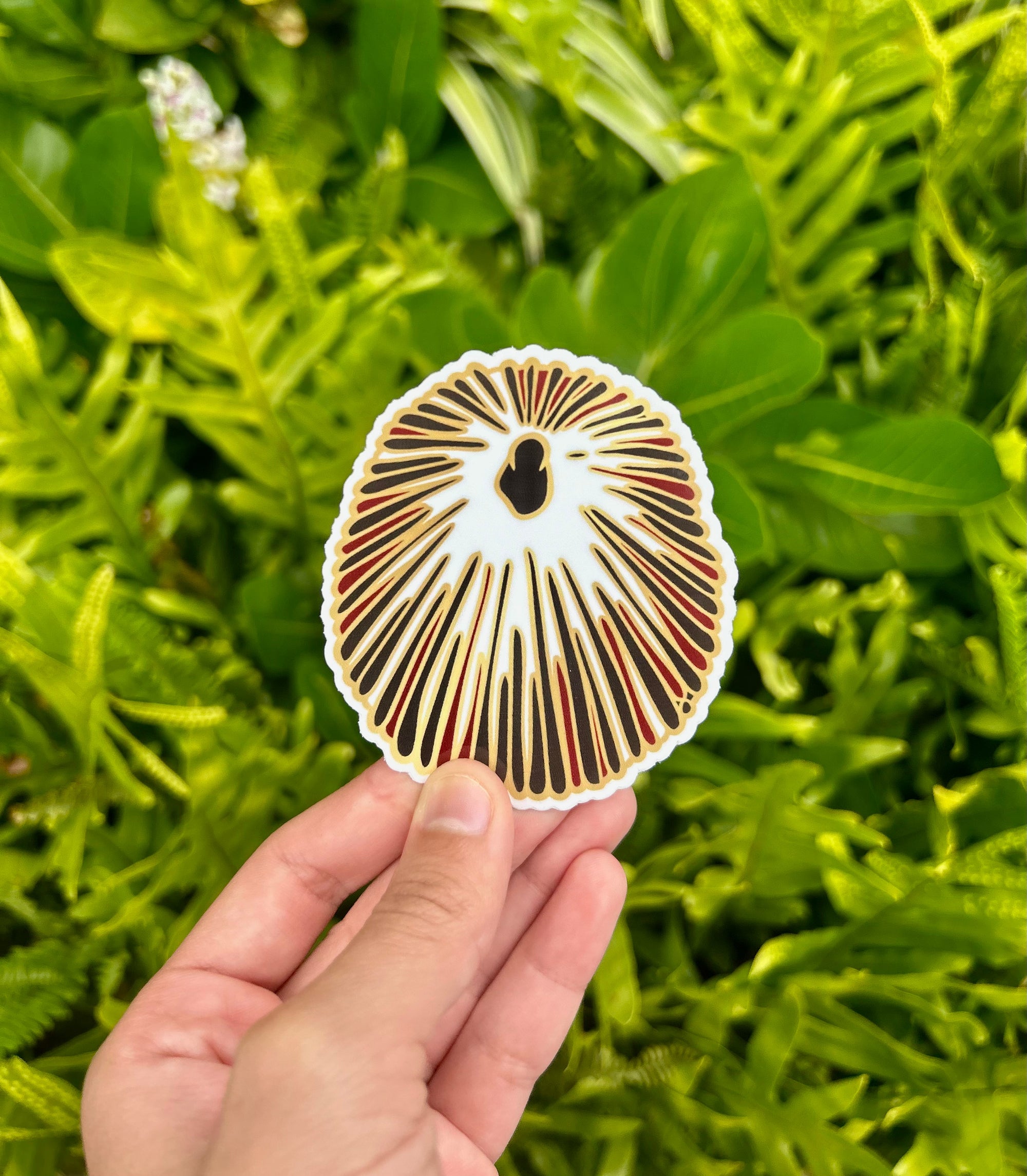 Pop-Up Mākeke - Mahea Leah - Opihi Sticker