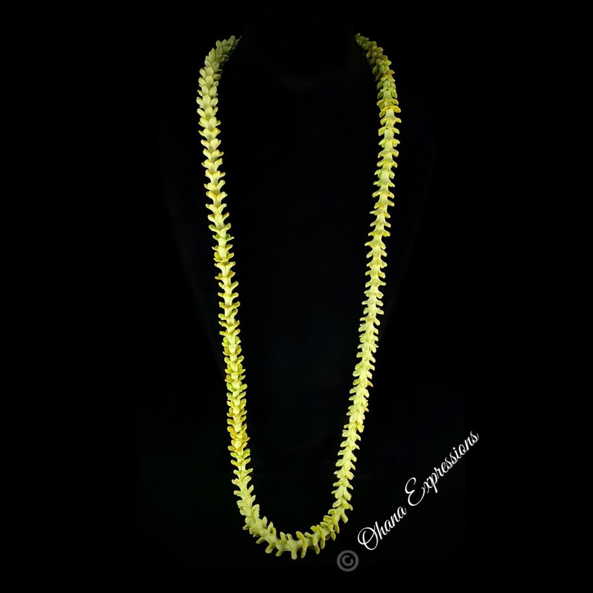 Pop-Up Mākeke - Ohana Expressions - Pakalana Lei - 38&quot;