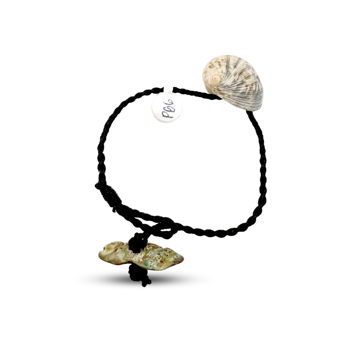 Pop-Up Mākeke - Pawehi Creations - Kupeʻe Shell Bracelet - Style #6 - Back View