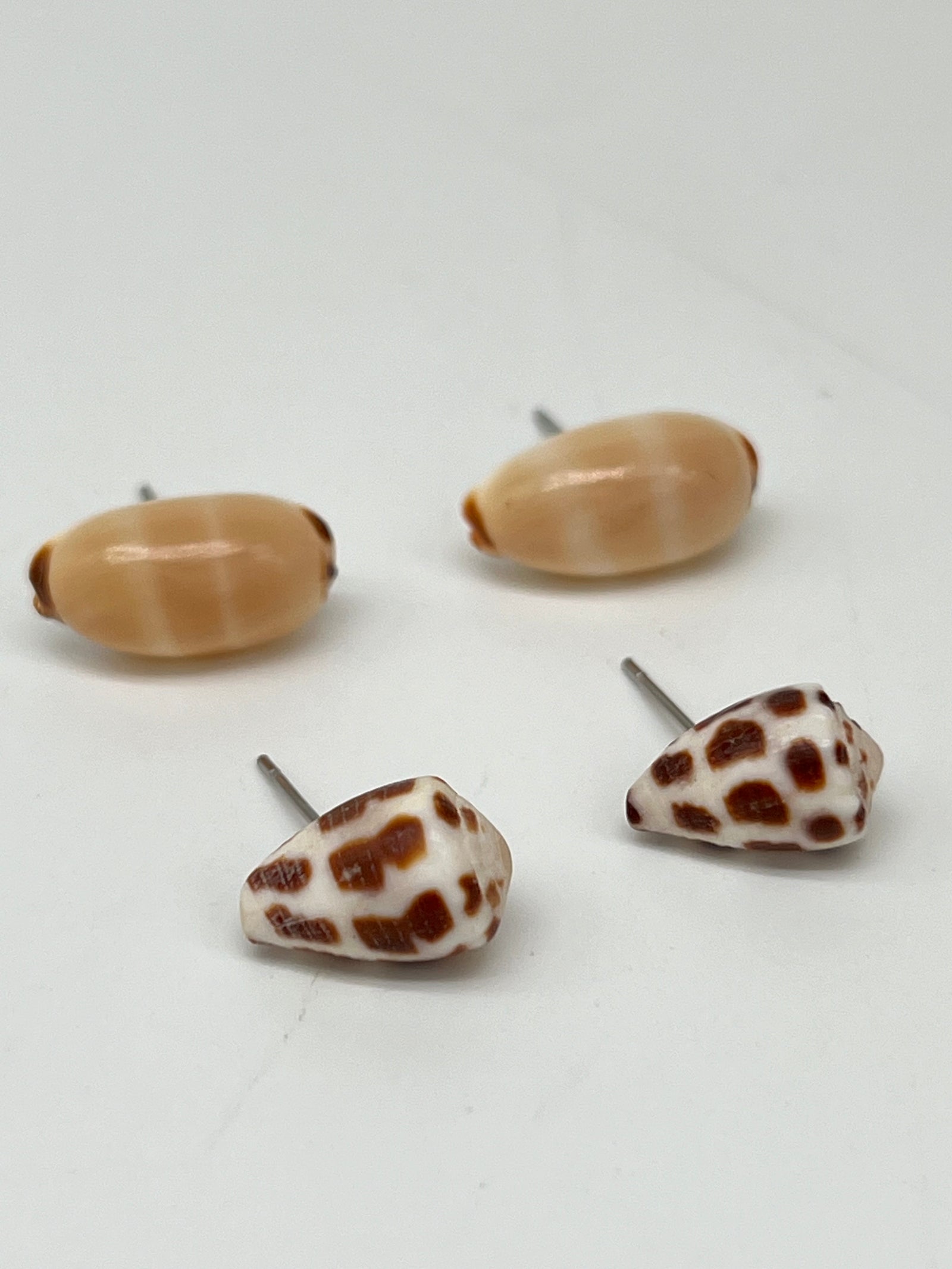 Pair of Assorted Shell Earrings - Style #PE197