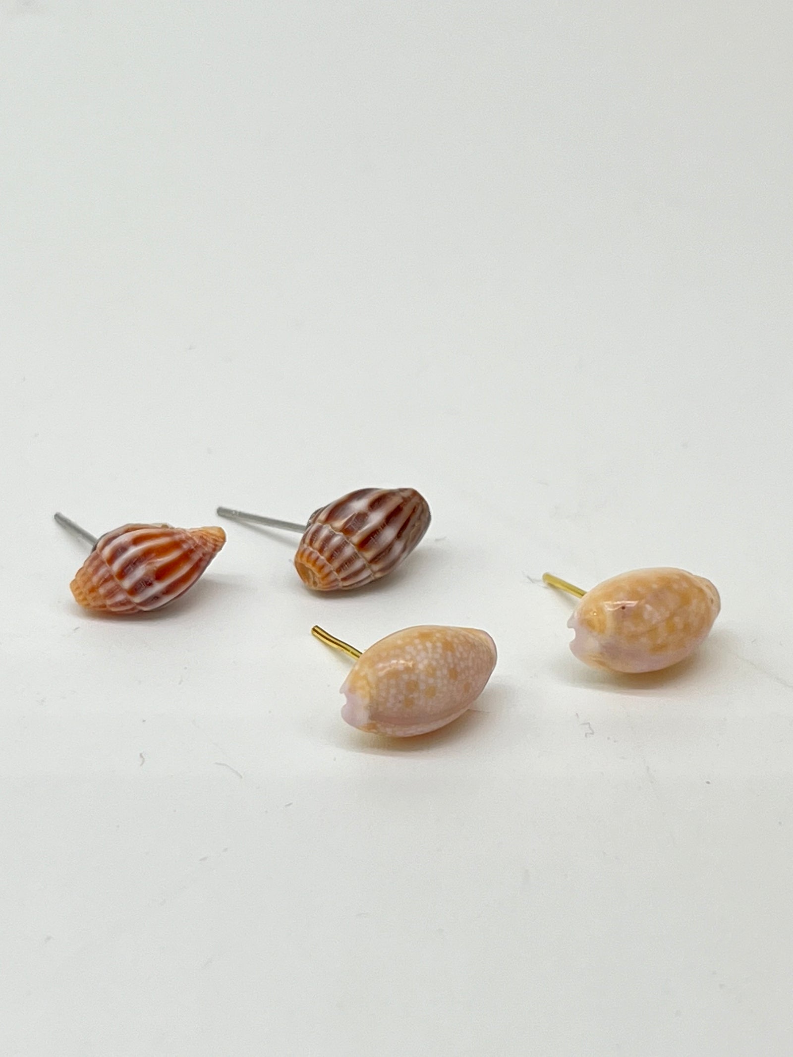 Pair of Assorted Shell Earrings - Style #PE253