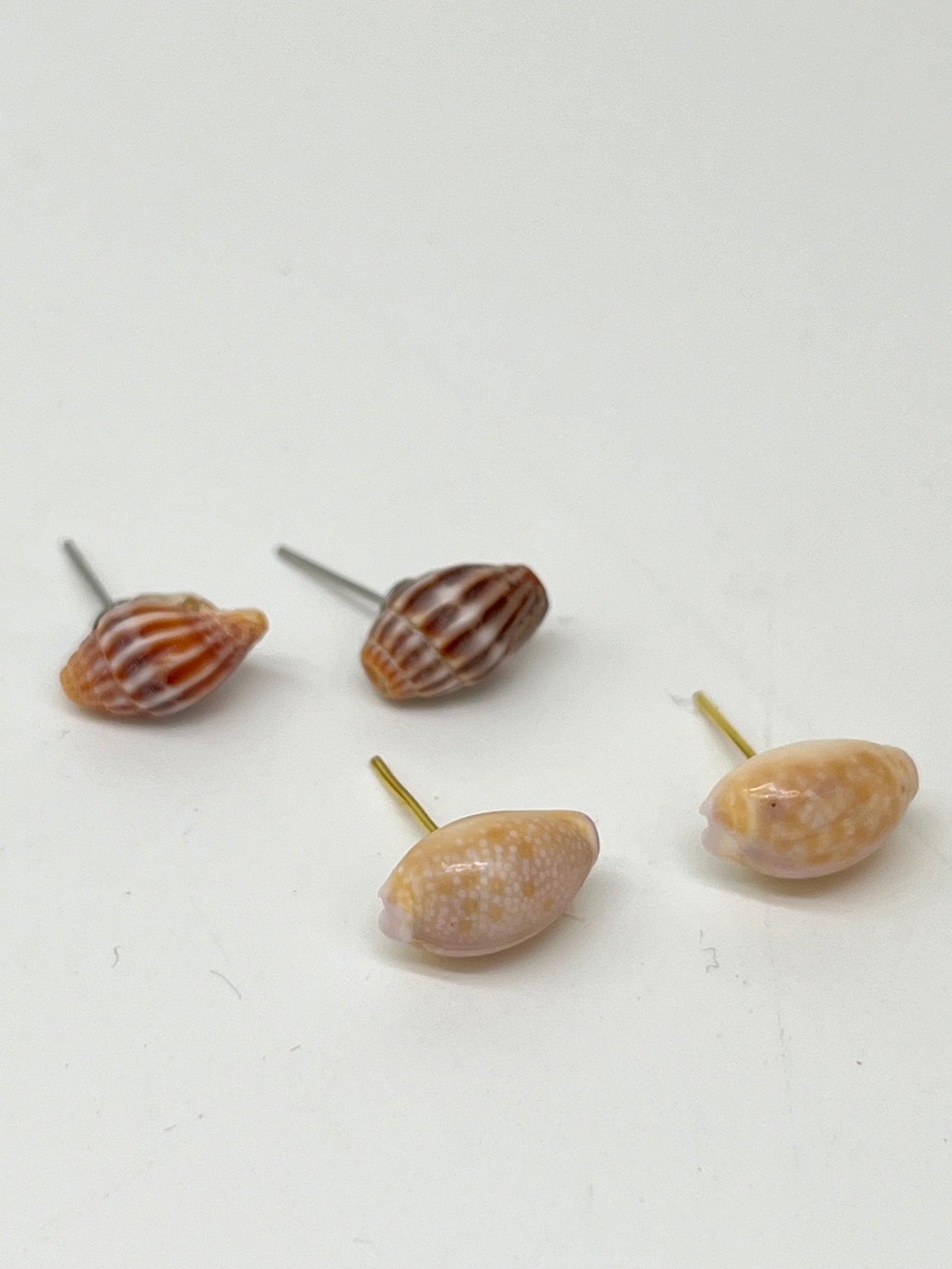 Pair of Assorted Shell Earrings - Style #PE253