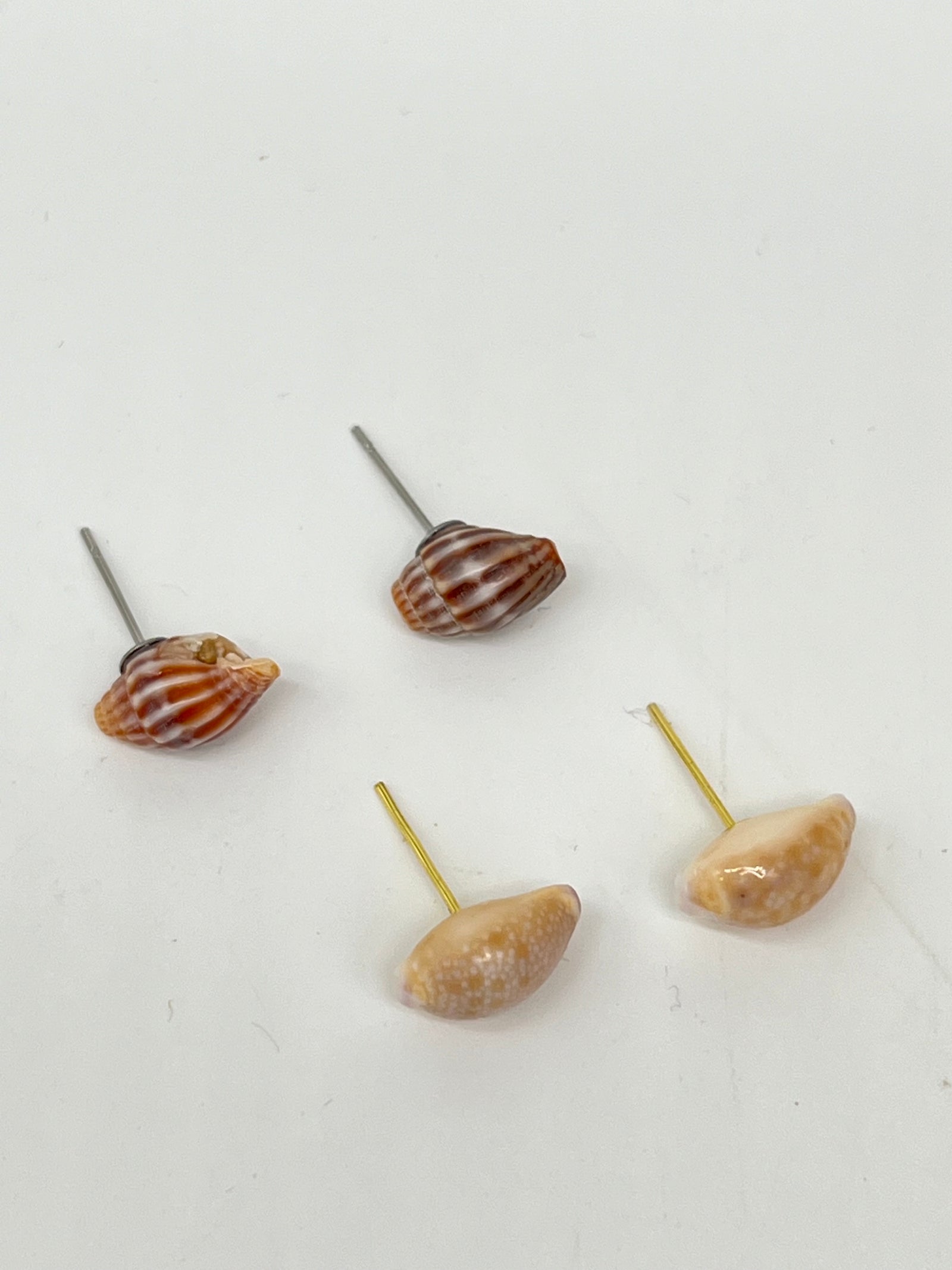 Pair of Assorted Shell Earrings - Style #PE253