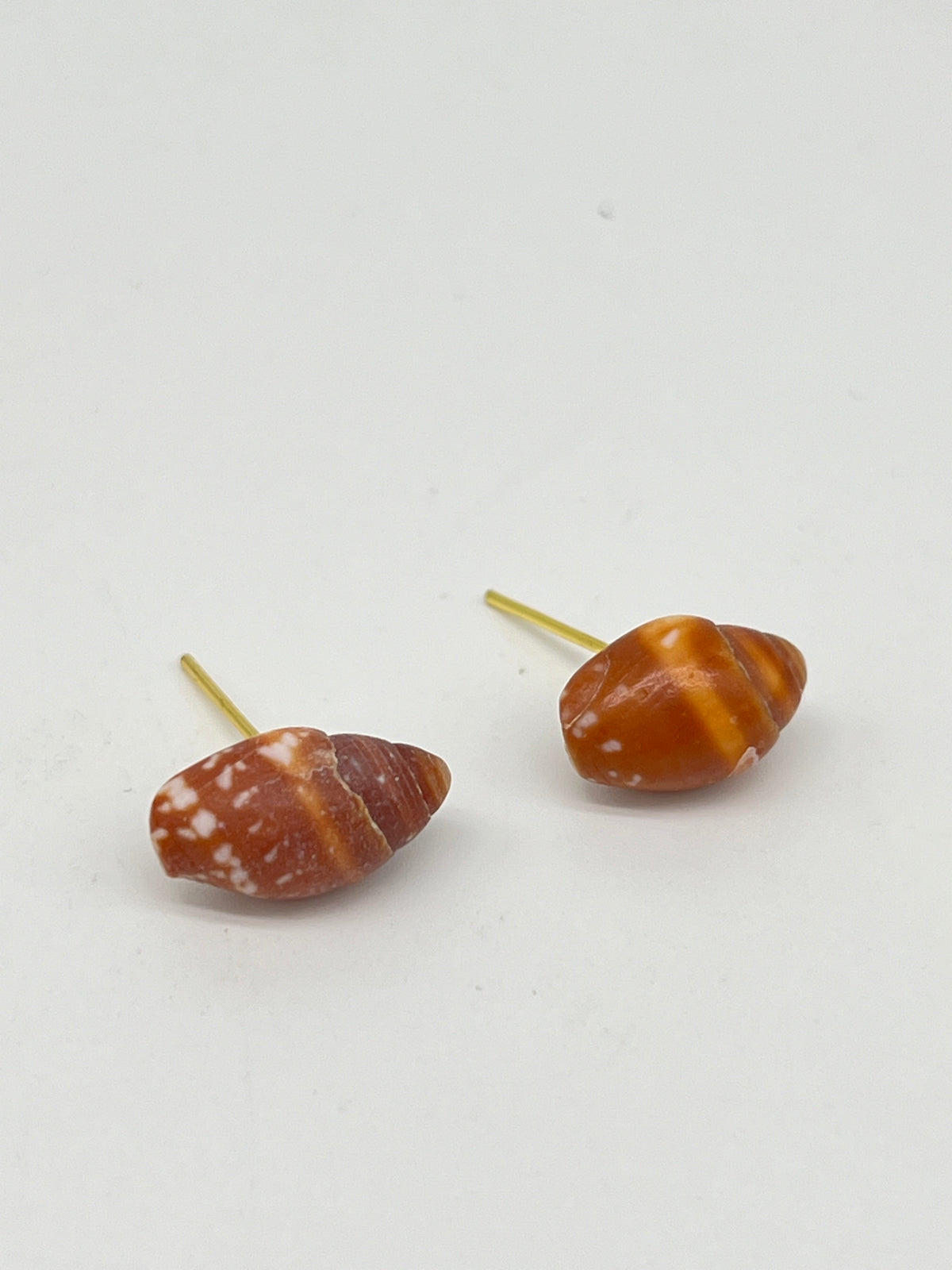 Shell Stud Earrings - Style #PE62