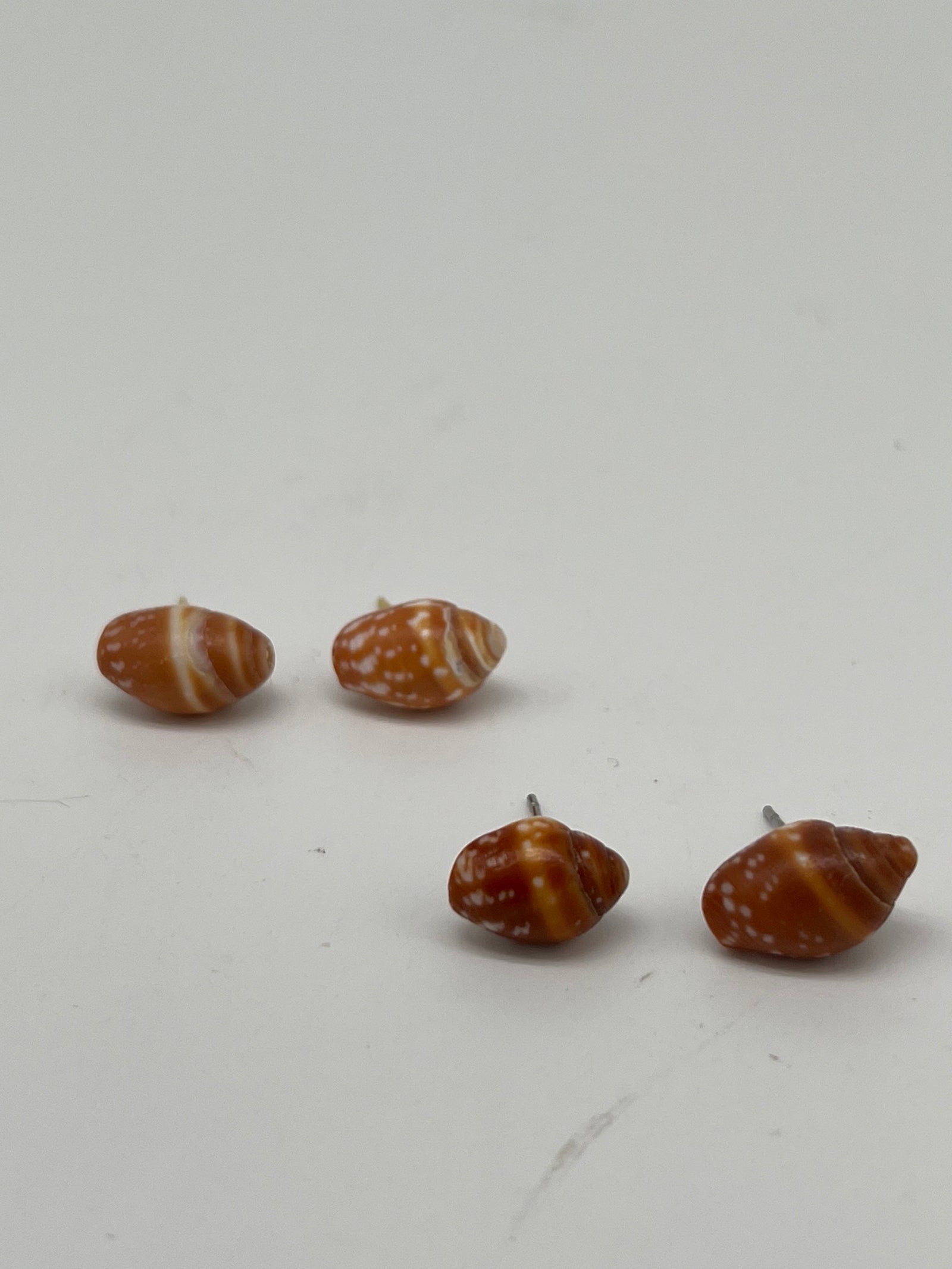 Shell Stud Earrings - Style #PE81