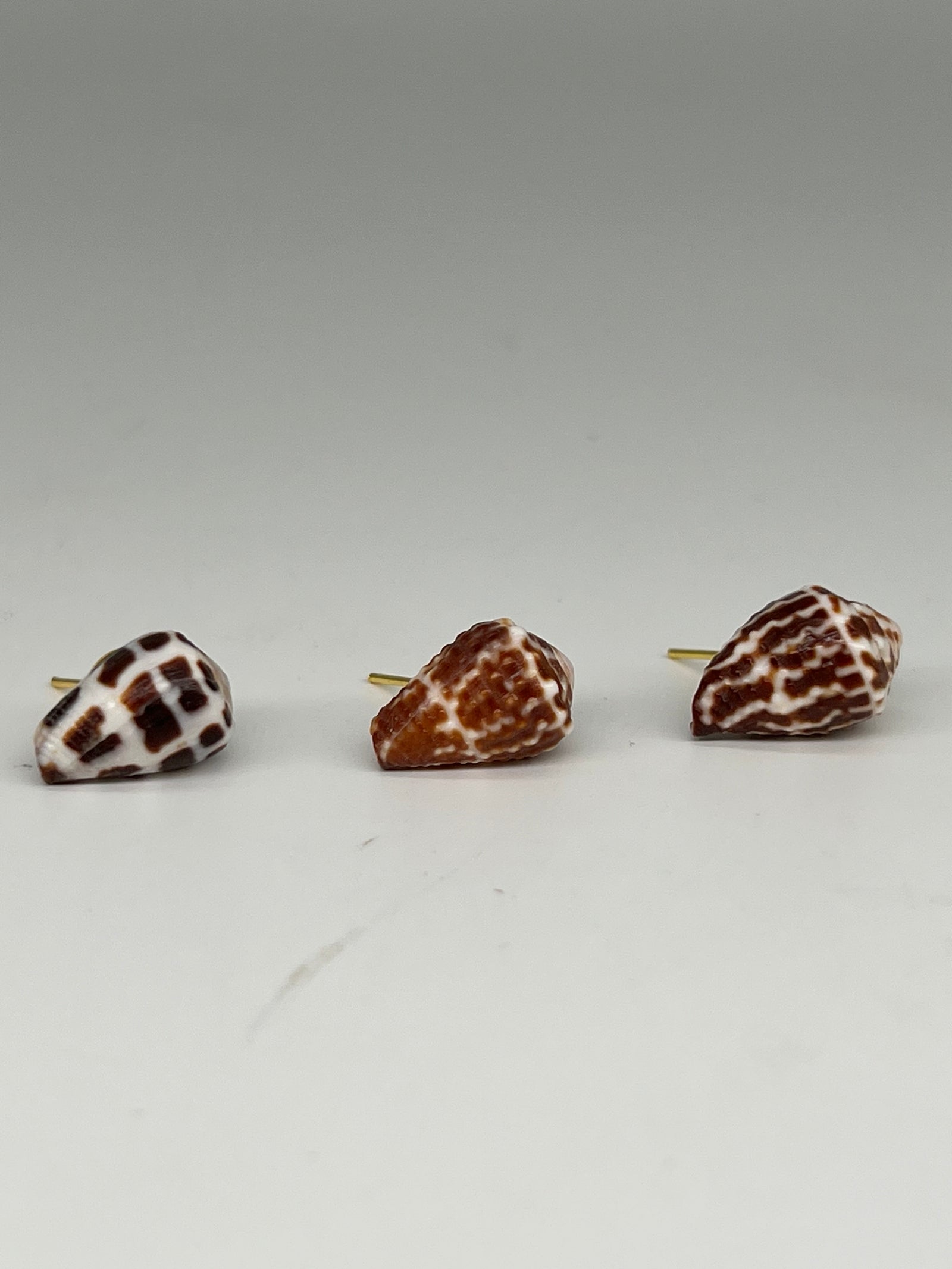 Tiny Stud Shell Earrings - 3 Piece