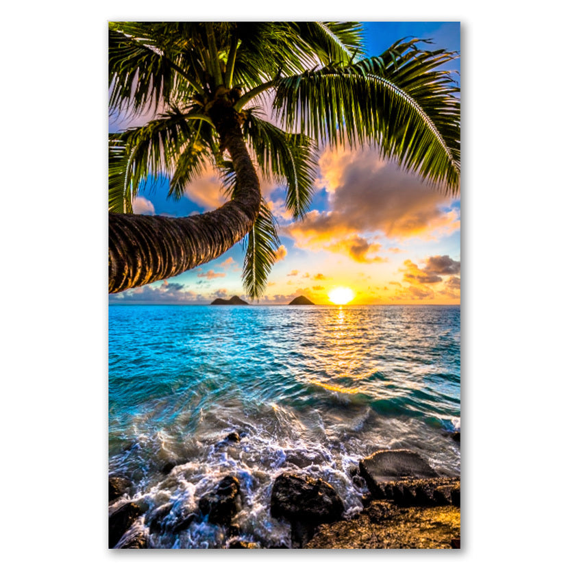 Pop-Up Mākeke - Shane Myers Photography - Hawaiian Fine Art Aluminum Photo Print - Splash