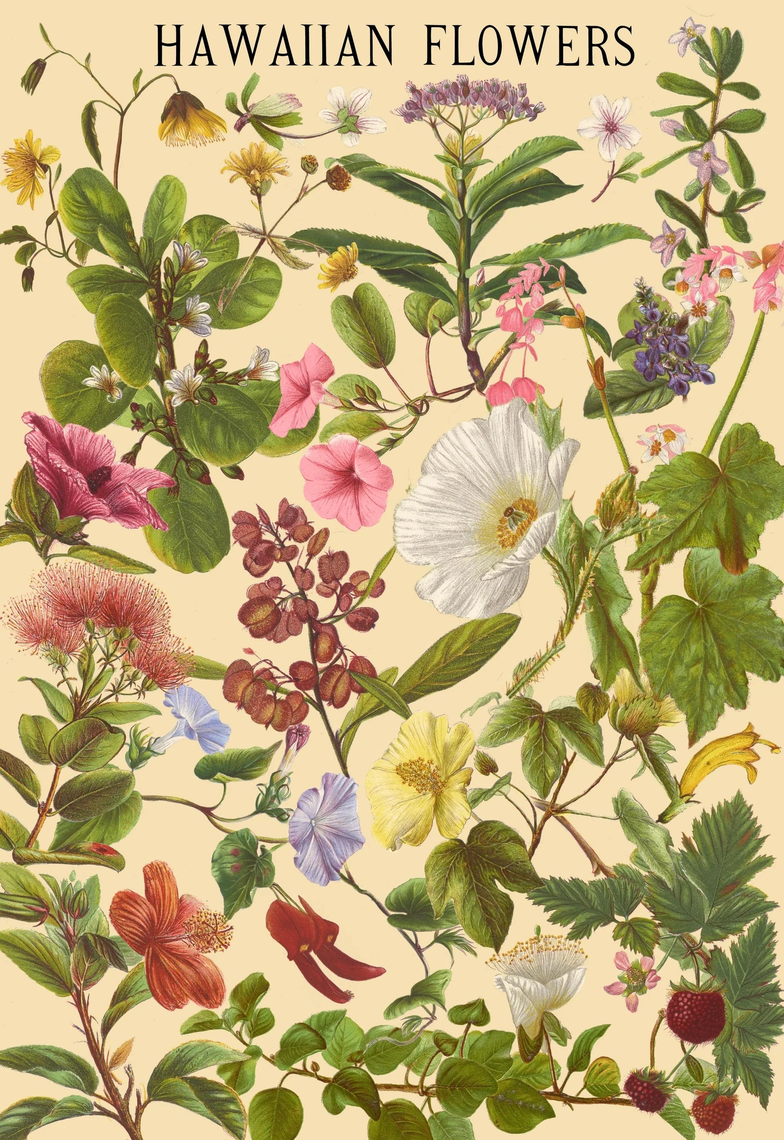 Pop-Up Mākeke - Surf Shack Puzzles - Hawaiian Flowers by Laulima Hawaiʻi 1000-Piece Puzzle - Front View